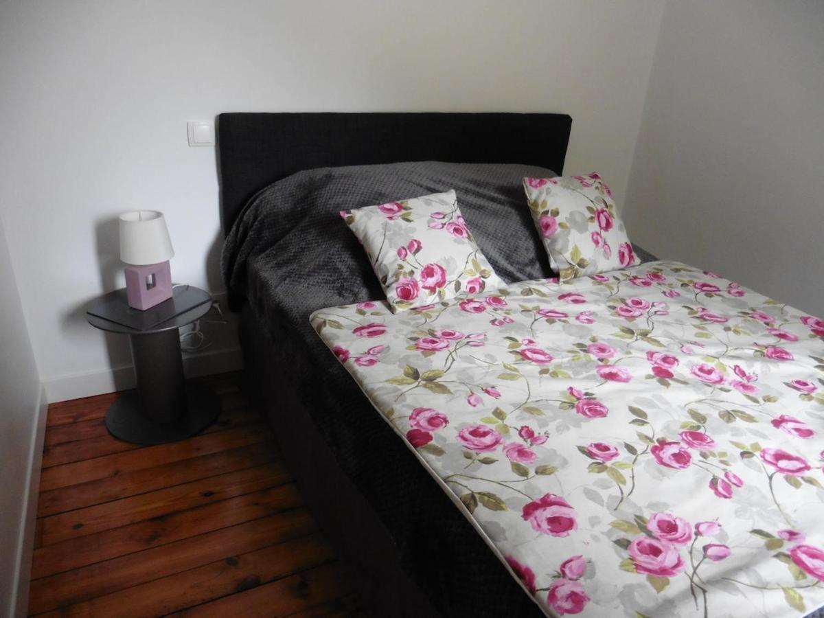Appartement T2 4 Personnes Wifi Et Climatisation Bagneres-de-Luchon Екстер'єр фото