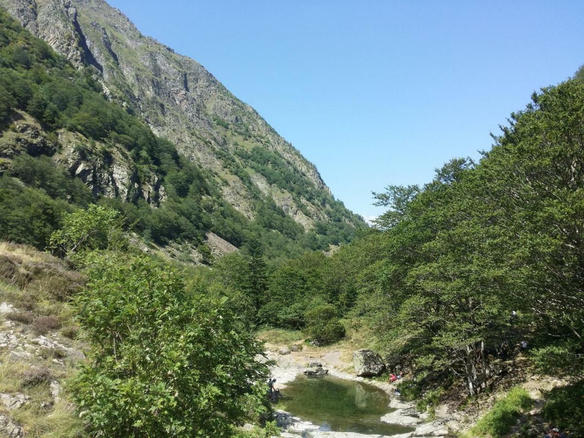 Appartement T2 4 Personnes Wifi Et Climatisation Bagneres-de-Luchon Екстер'єр фото